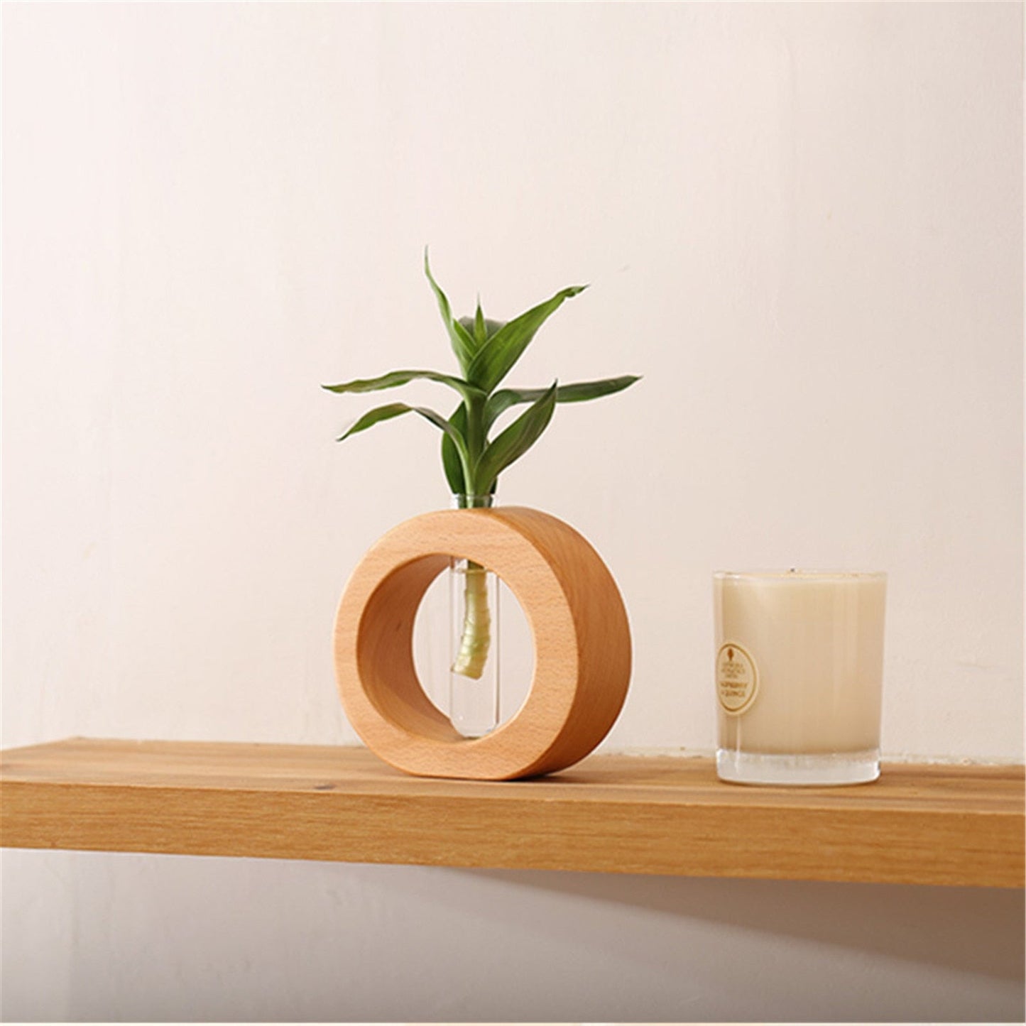Wooden Hydroponic Flower Pot Vase